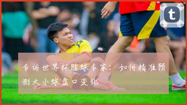 专访世界杯赌球专家：如何精准预测大小球盘口变化
