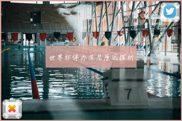 世界杯停办深层原因探析