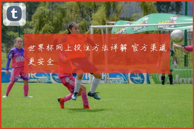 世界杯网上投注方法详解 官方渠道更安全