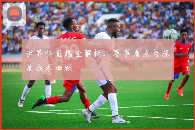 世界杯直播全解析:赛事看点与深度战术回顾