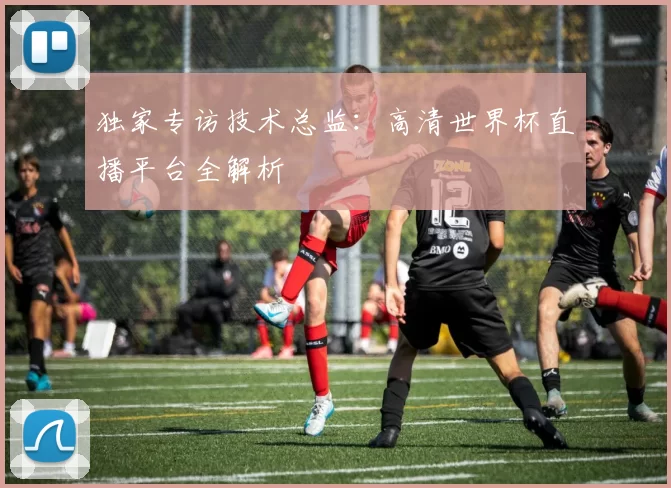 独家专访技术总监:高清世界杯直播平台全解析