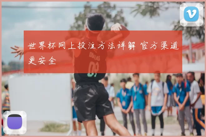 世界杯网上投注方法详解 官方渠道更安全
