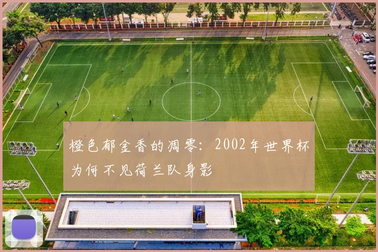 橙色郁金香的凋零:2002年世界杯为何不见荷兰队身影