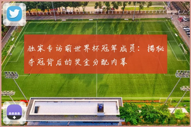 独家专访前世界杯冠军成员:揭秘夺冠背后的奖金分配内幕