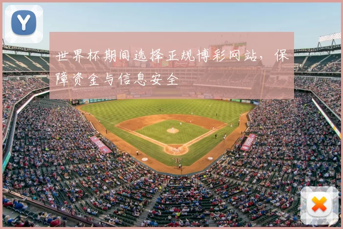 世界杯期间选择正规博彩网站，保障资金与信息安全