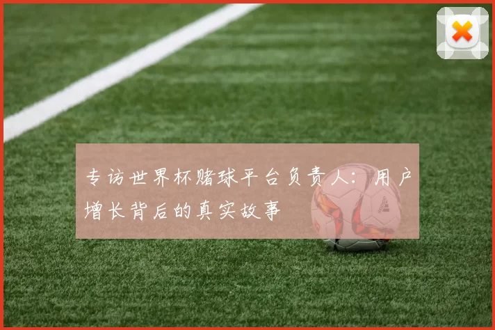 专访世界杯赌球平台负责人：用户增长背后的真实故事