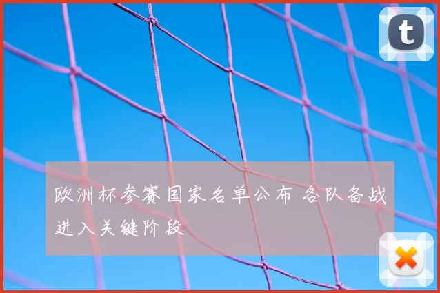 欧洲杯参赛国家名单公布 各队备战进入关键阶段