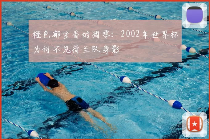 橙色郁金香的凋零：2002年世界杯为何不见荷兰队身影